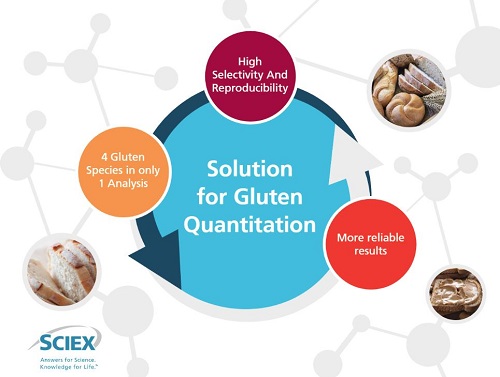 vMethod Application for Gluten Quantitation in Food Matrices using LC-MS/MS v1.0 Disc photo du produit Front View L-internal