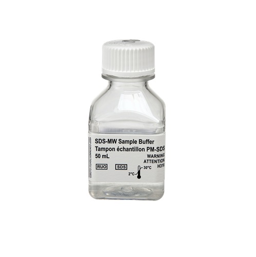 SDS Sample Buffer photo du produit Front View L-internal