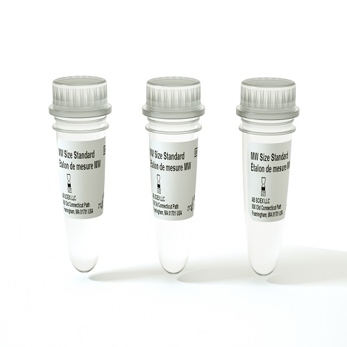 Molecular Weight Sizing Standard - 3 Pack photo du produit Front View L-internal