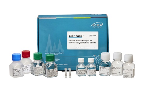 BioPhase CE-SDS Protein Analysis kit photo du produit Front View L-internal